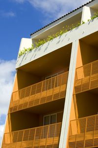 La joya huanacaxtle