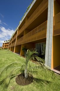 La joya huanacaxtle