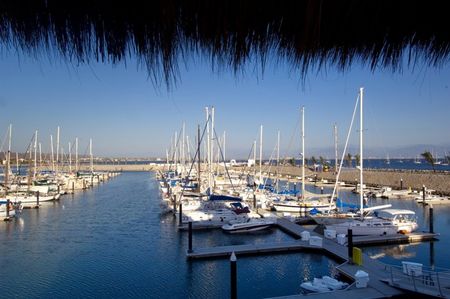Punta