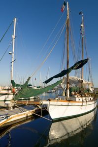 Punta